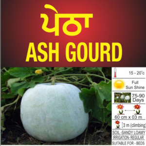 Ash Gourd (Petha)