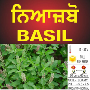 Basil