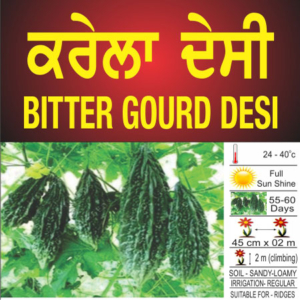 Bitter Gourd (Evergreen)