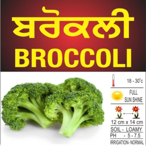 Broccoli