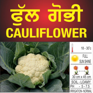 Cauliflower