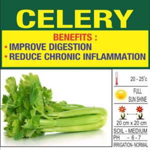 Celery
