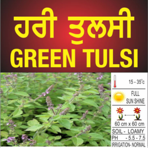 Tulsi