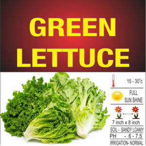Lettuce