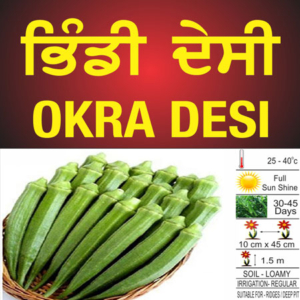 Okra