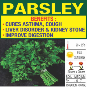 Parsley