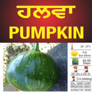 Pumpkin (Halwa)