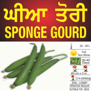 Sponge Gourd (Ghia Tori)