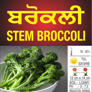 Stem Broccoli