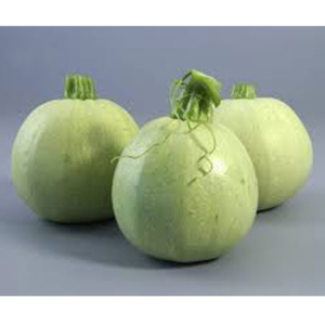 Summer Squash