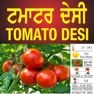 Tomato