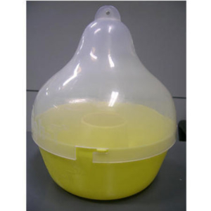 Fruitfly:  Guava, Kinnow, Pear, plum (Pheromone Traps)