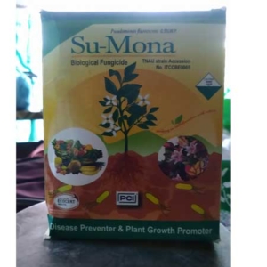 Psudomonas