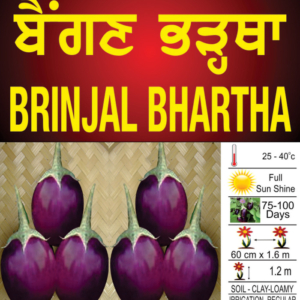 Brinjal Bhartha