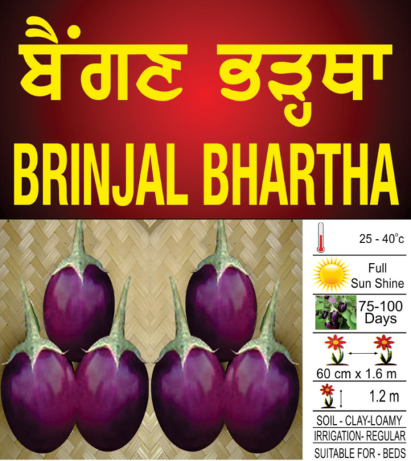 Brinjal Bhartha