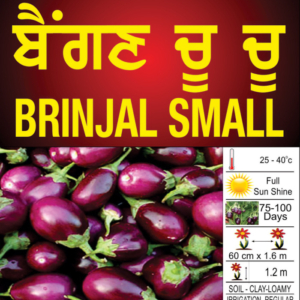 Brinjal Small