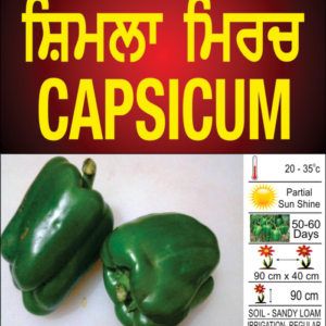 Capsicum