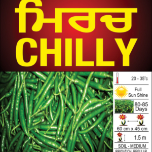 Chilly