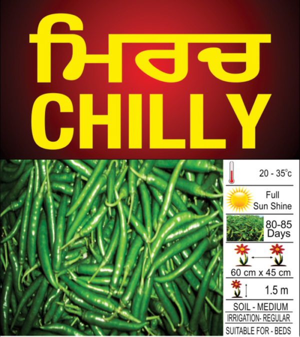 Chilly