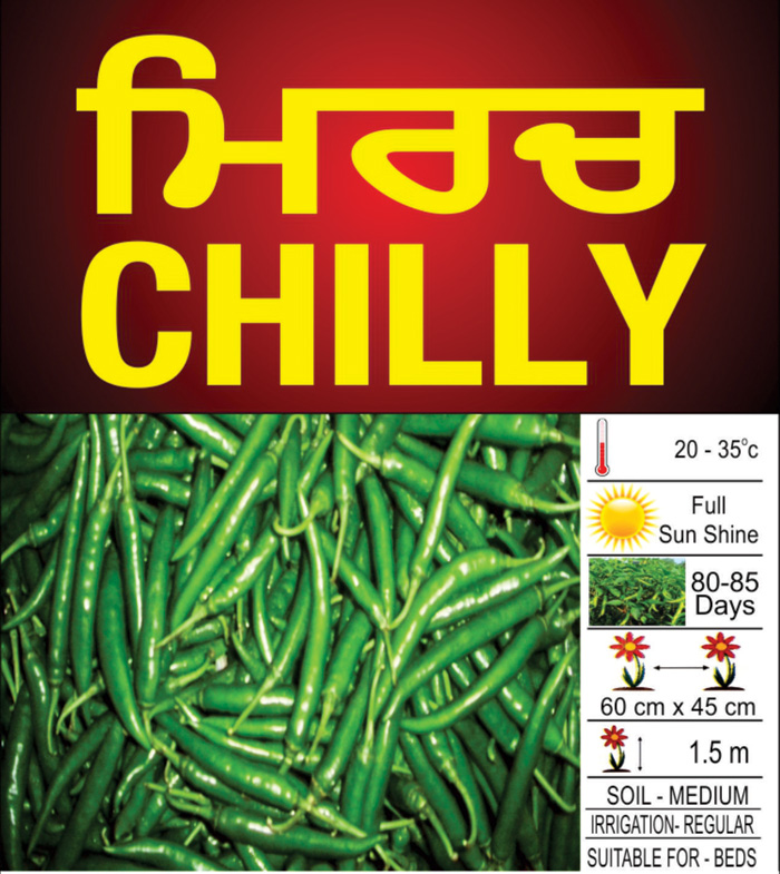 Chilly