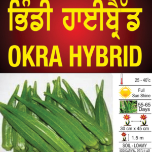 Okra Hybrid
