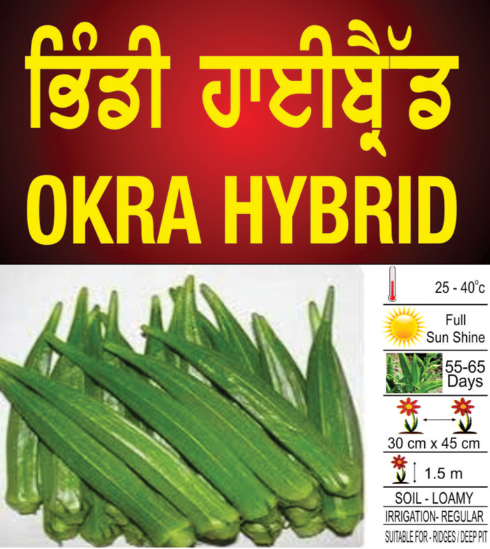 Okra Hybrid