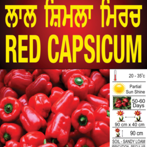Red Capsicum