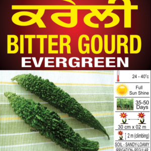 Bitter Gourd (Evergreen)