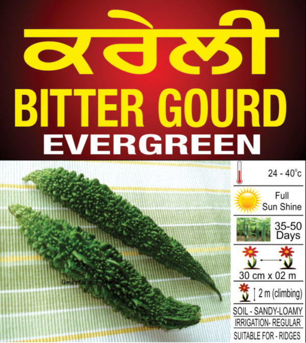 Bitter Gourd (Evergreen)