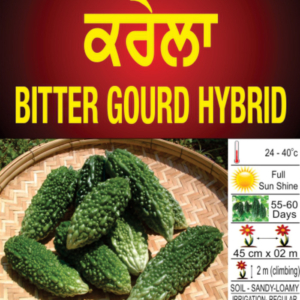 Bitter Gourd( hybrid)