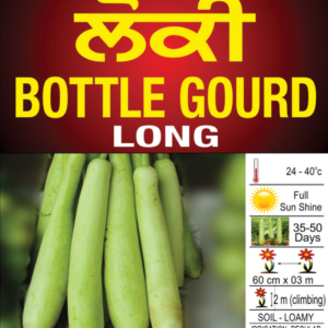 Bottle Gourd (long)