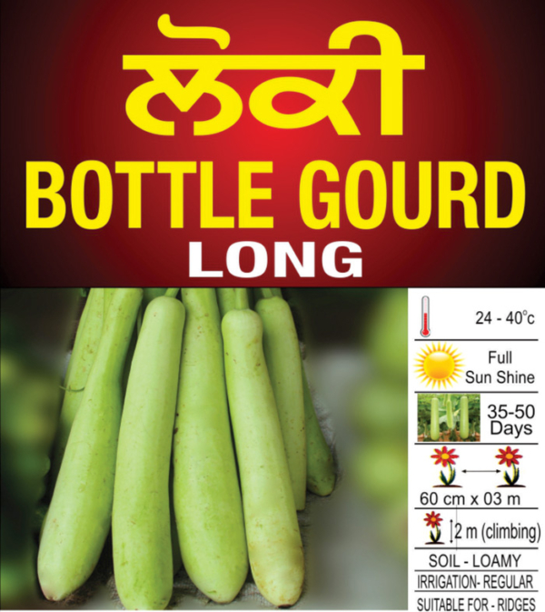 Bottle Gourd (long)