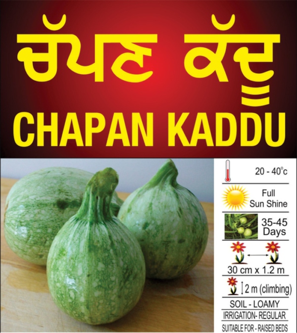 Chapan Kaddu