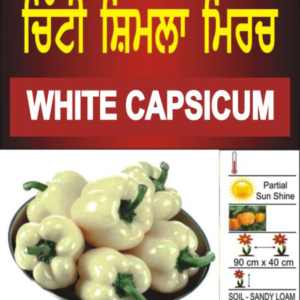 White Capsicum