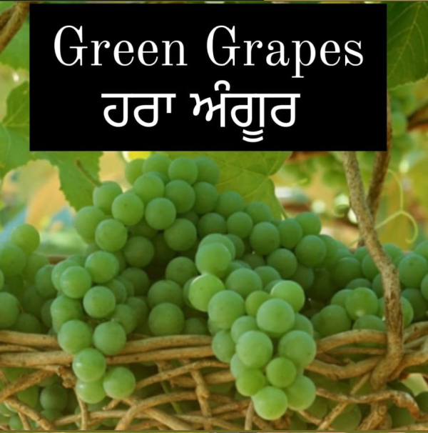 Green Grapes