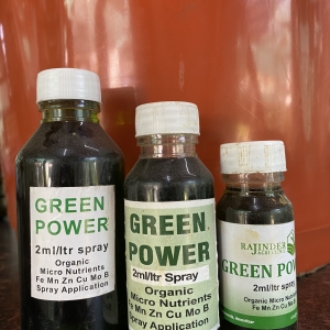 Green Power