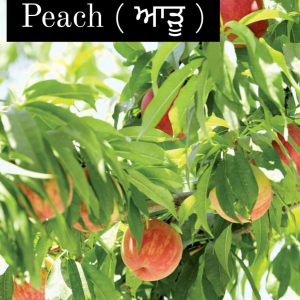 Peach