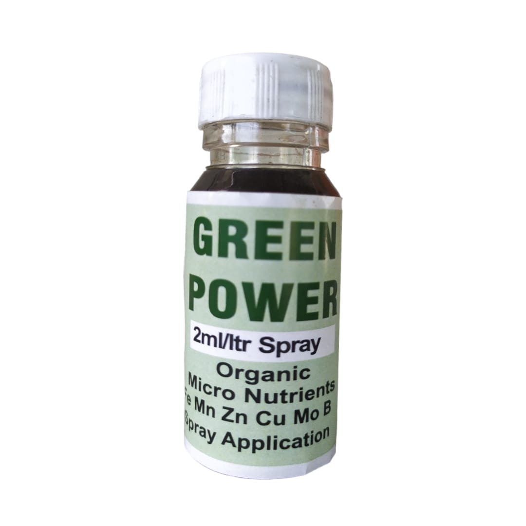 Green Power - Image 2