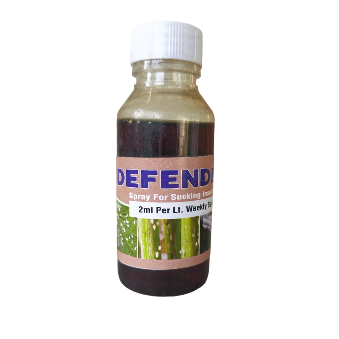 Defender - Image 2