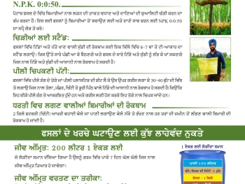 WhatsApp Image 2025-07-13 at 10.35.03 AM(1)