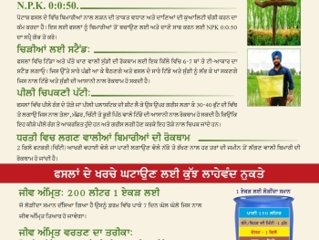 WhatsApp Image 2025-07-13 at 10.35.03 AM(3)