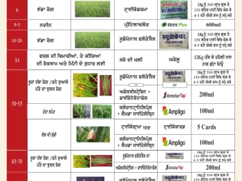 WhatsApp Image 2025-07-16 at 3.03.52 PM
